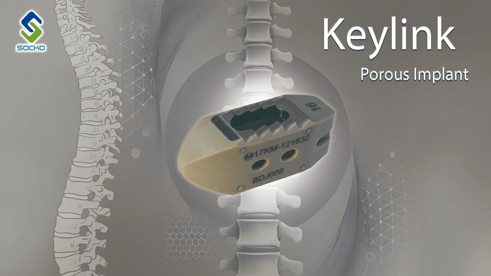 Interbody Fusion Systems